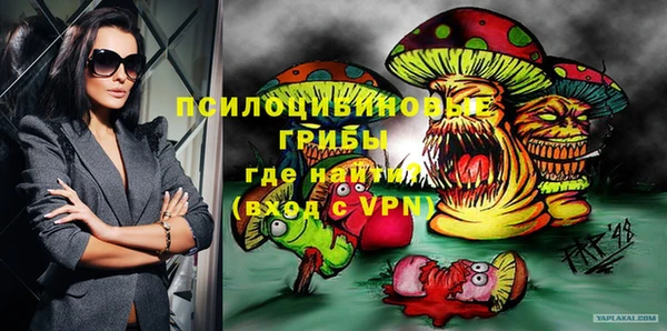 apvp Армянск